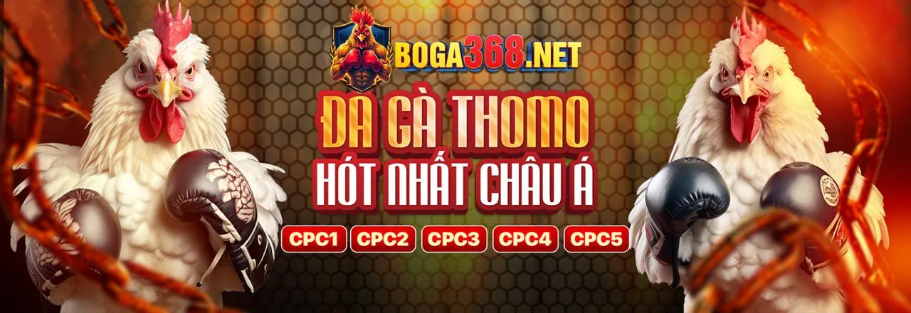 Đấu Gà Trực Tuyến Kịch Tính tại win58 login